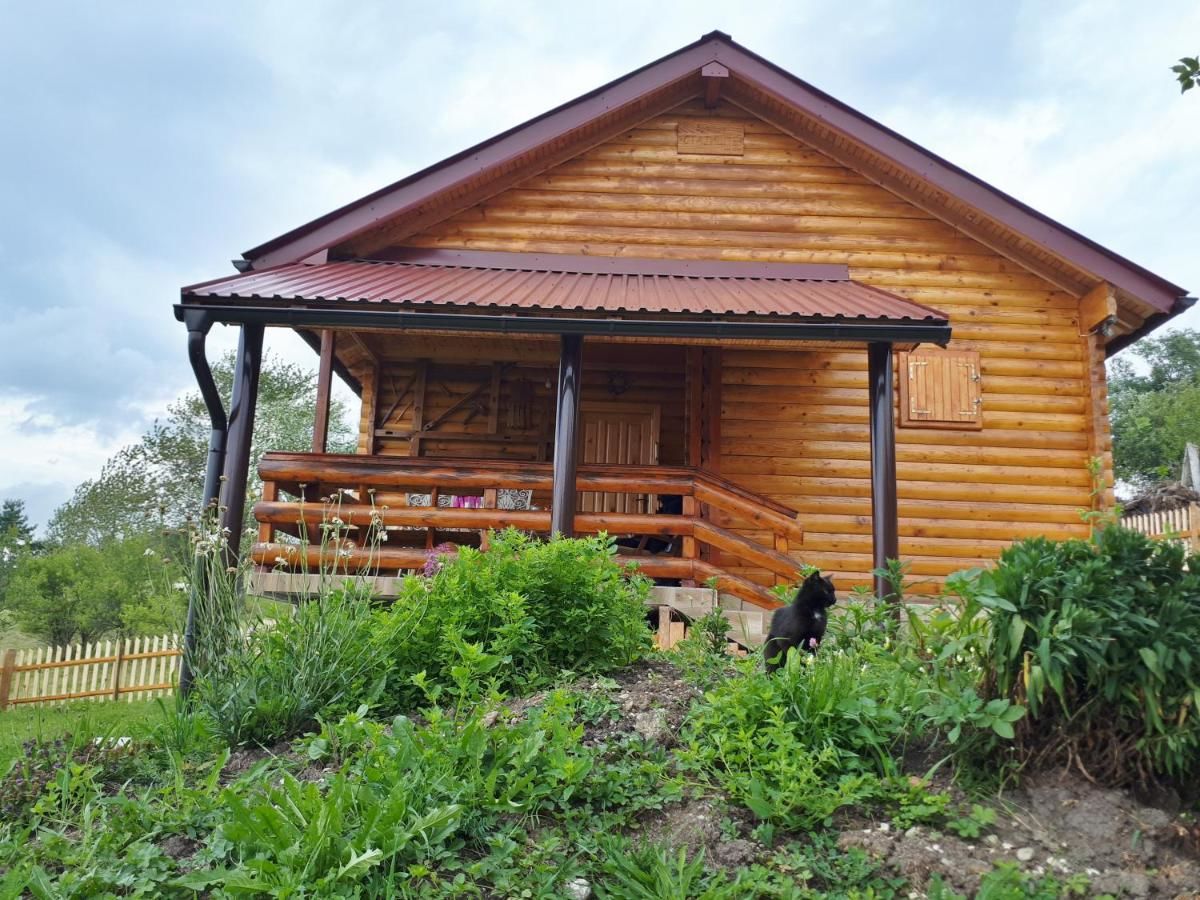 Дома для отпуска Brvnara Stajište 2016 Плевля
