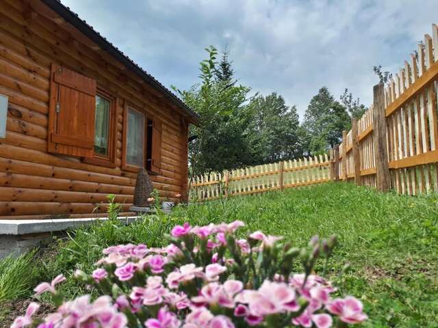 Дома для отпуска Brvnara Stajište 2016 Плевля-23